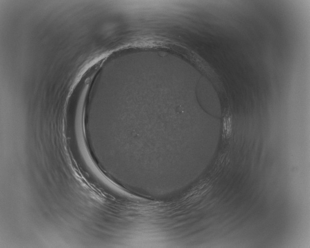 X0000077370724200610201348