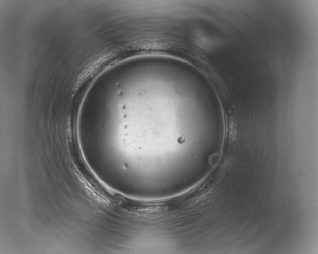 X0000077370725200610201348