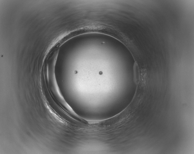 X0000077370726200610201348