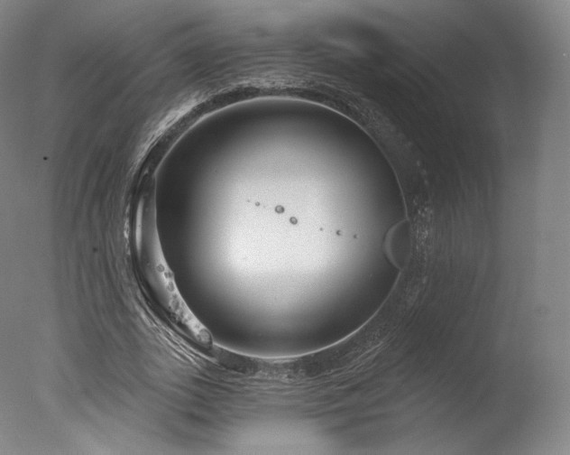 X0000077370727200610201348