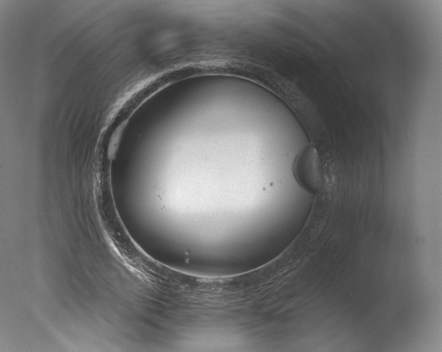 X0000077370728200610201348