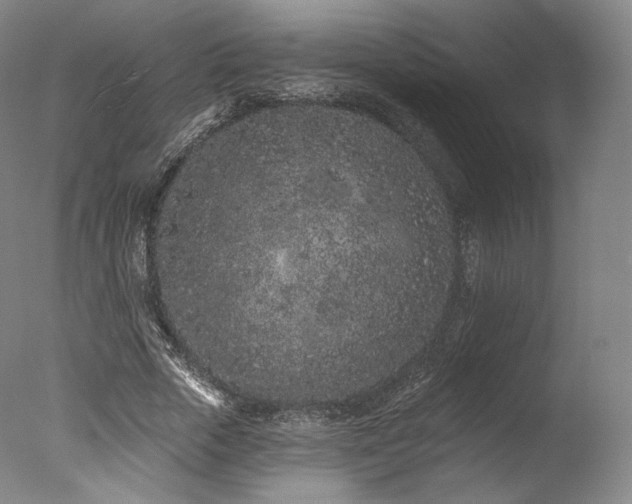 X0000077370729200610201348