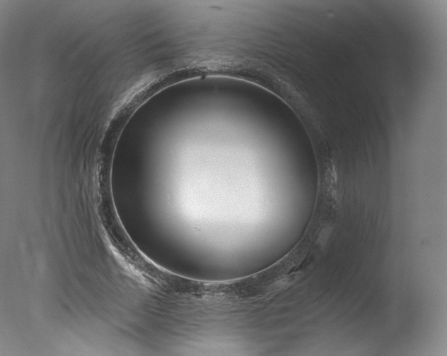 X0000077370730200610201348