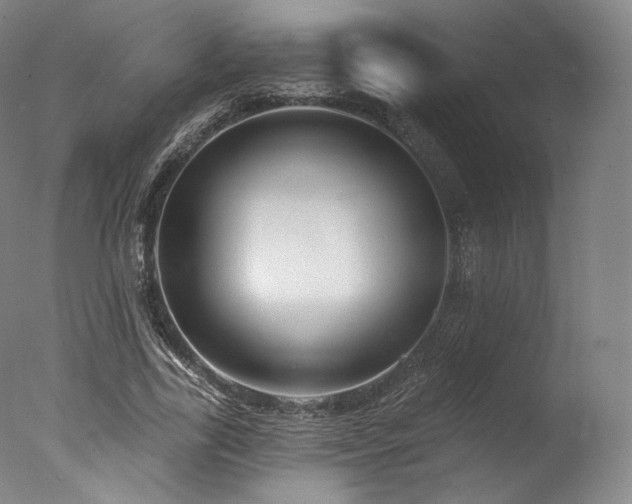 X0000077370731200610201348