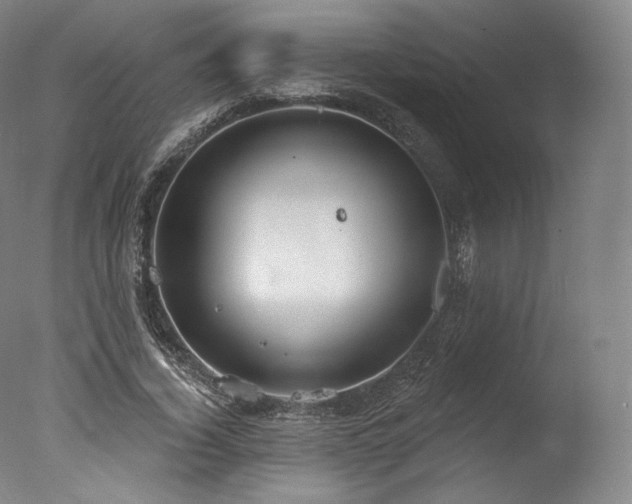 X0000077370732200610201348