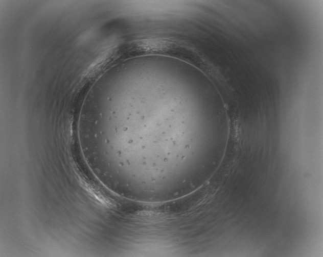 X0000077370733200610201348