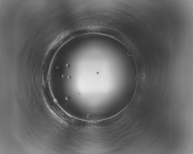 X0000077370734200610201348