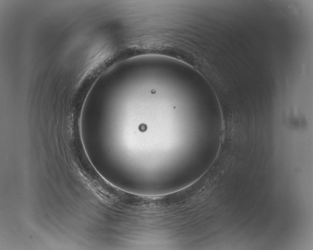 X0000077370735200610201348