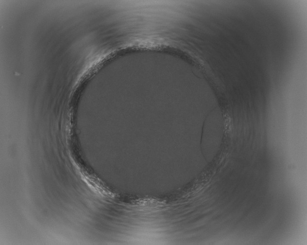 X0000077370736200610201348