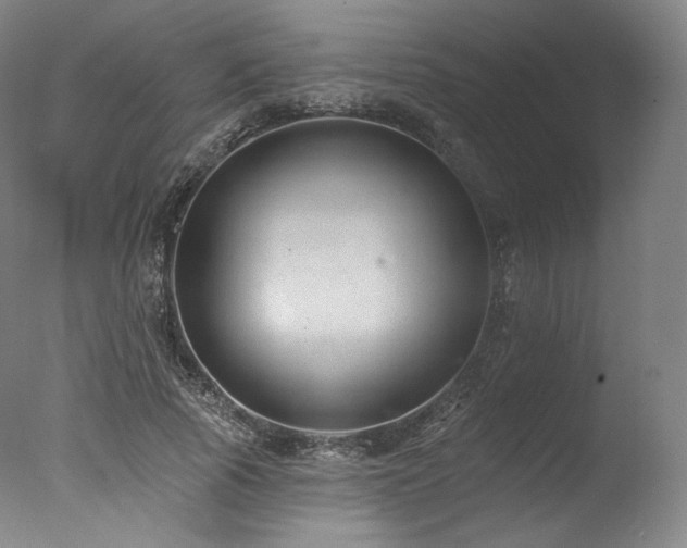 X0000077370737200610201348