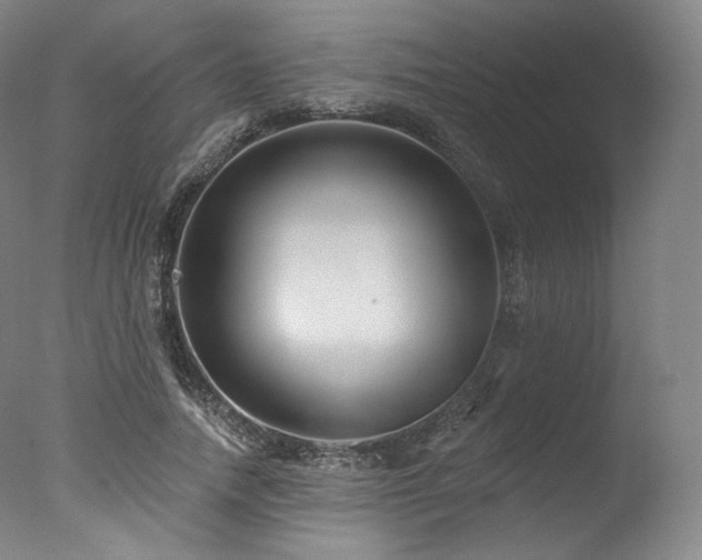 X0000077370738200610201348