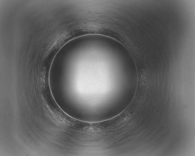 X0000077370739200610201348