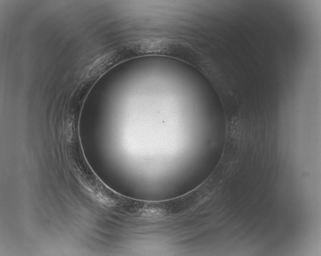 X0000077370741200610201348