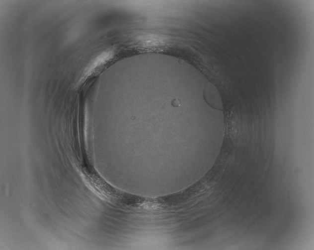 X0000077370742200610201348