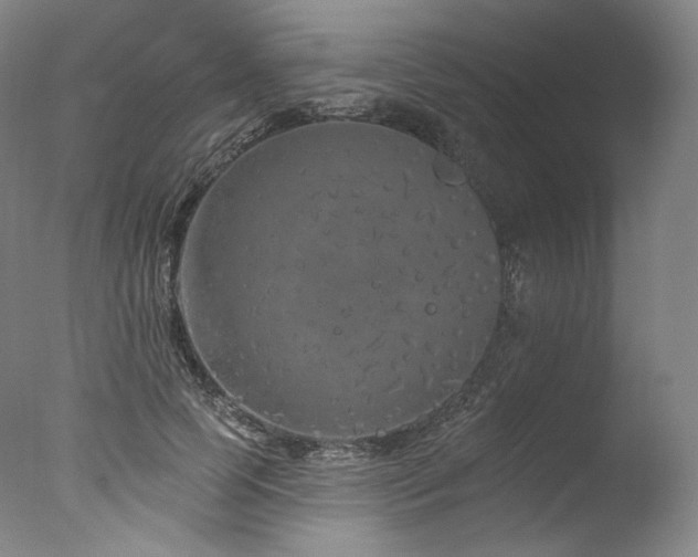 X0000077370745200610201348