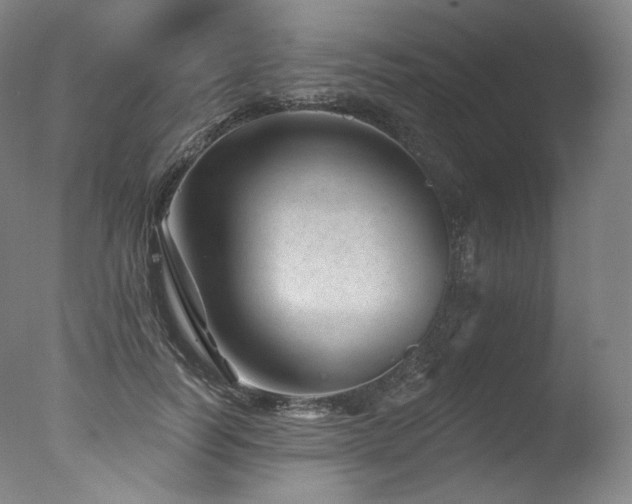 X0000077370746200610201348