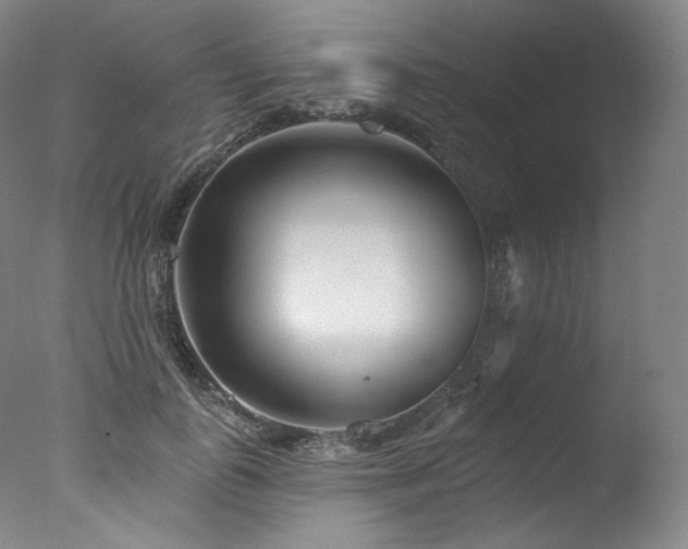 X0000077370747200610201348