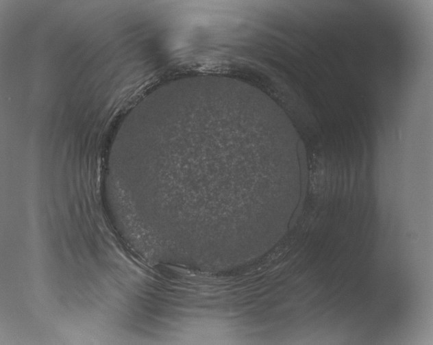 X0000077370748200610201348