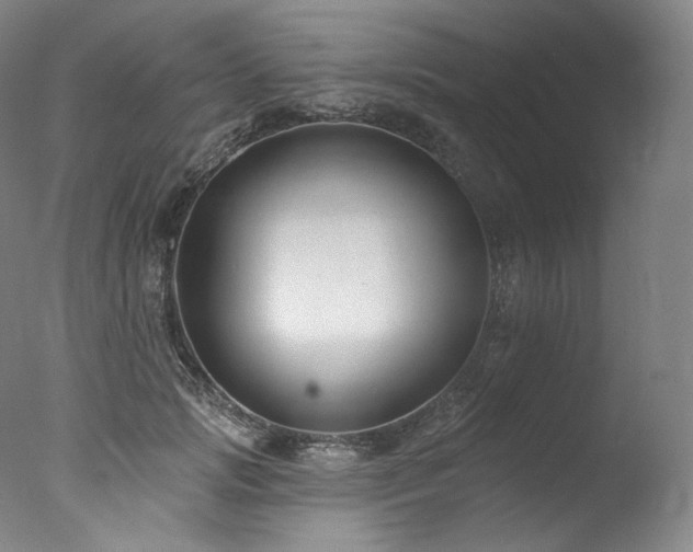 X0000077370749200610201348