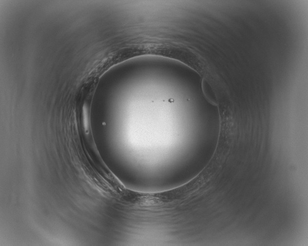 X0000077370750200610201348