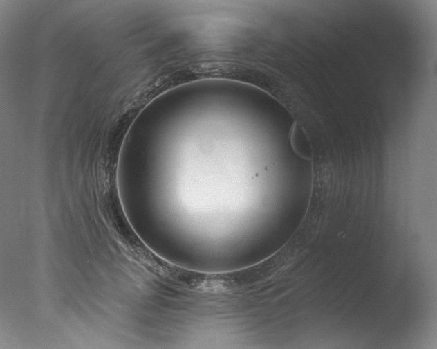 X0000077370751200610201348