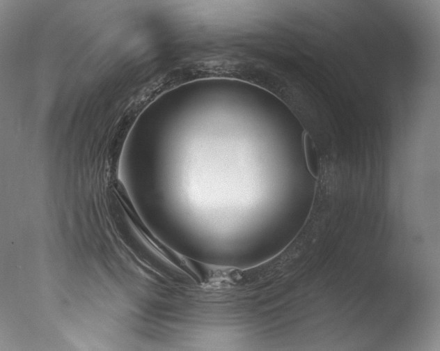 X0000077370752200610201348