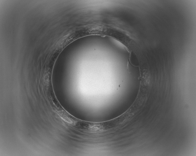 X0000077370753200610201348