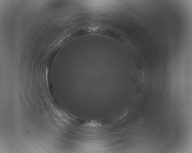 X0000077370754200610201348