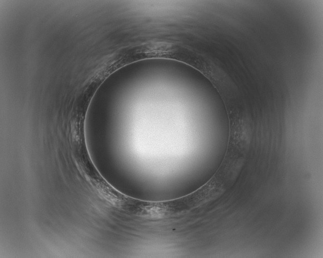 X0000077370755200610201348