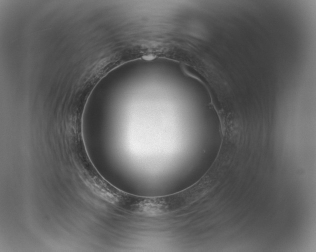 X0000077370756200610201348