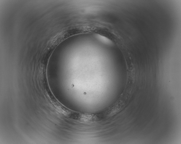 X0000077370757200610201348