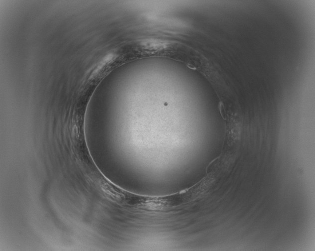 X0000077370758200610201348