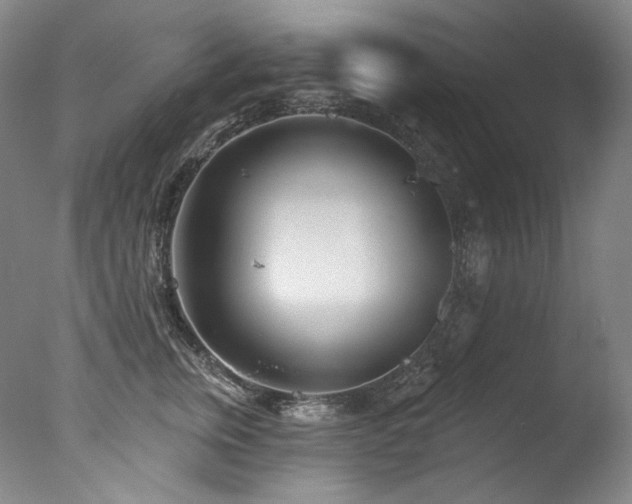 X0000077370759200610201348