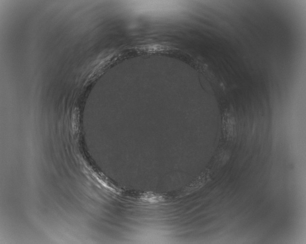 X0000077370760200610201348