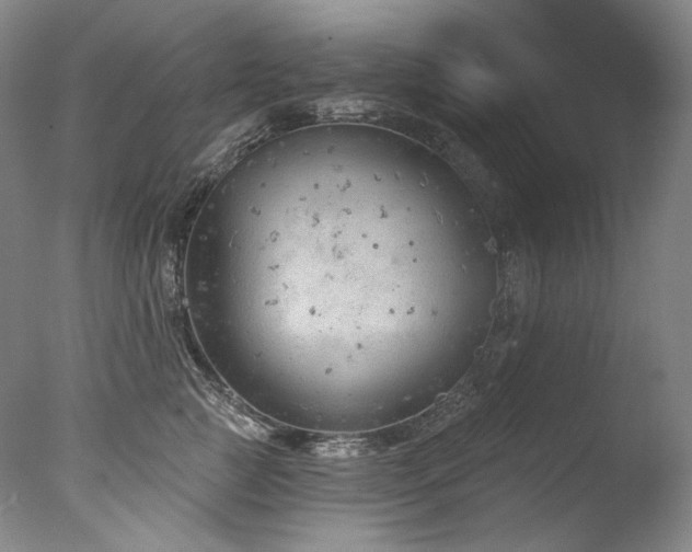 X0000077370761200610201348