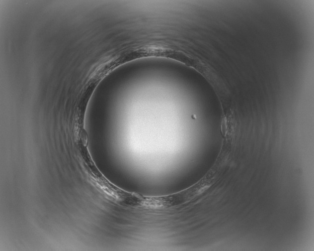 X0000077370762200610201348