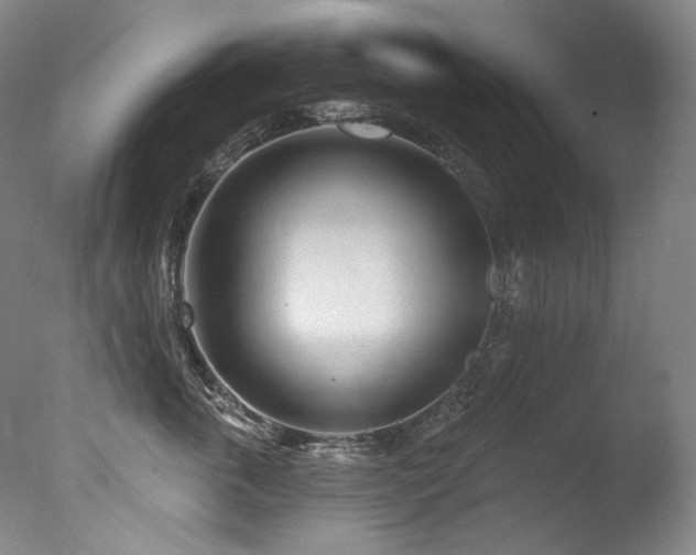 X0000077370763200610201348