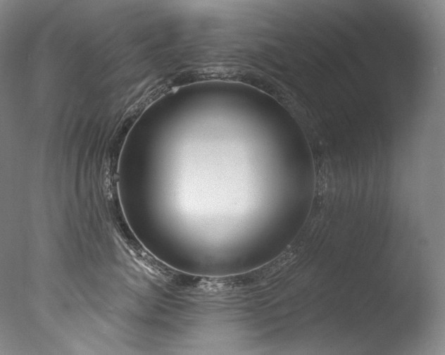 X0000077370764200610201348