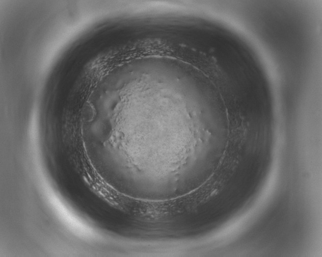 X0000077370765200610201348