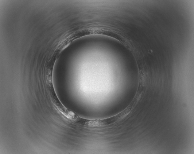 X0000077370766200610201348