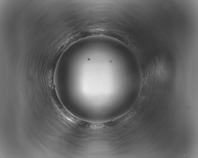 X0000077370767200610201348