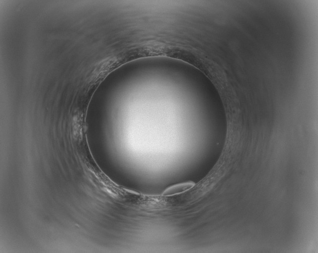 X0000077370768200610201348