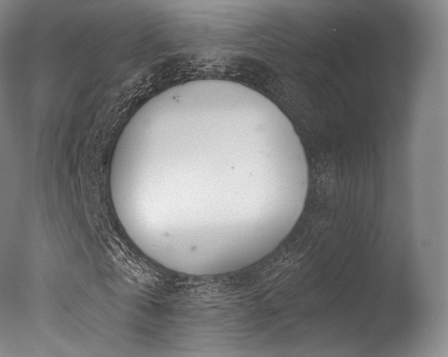 X0000077370769200610201348