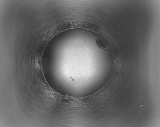 X0000077370770200610201348