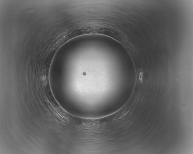 X0000077370771200610201348