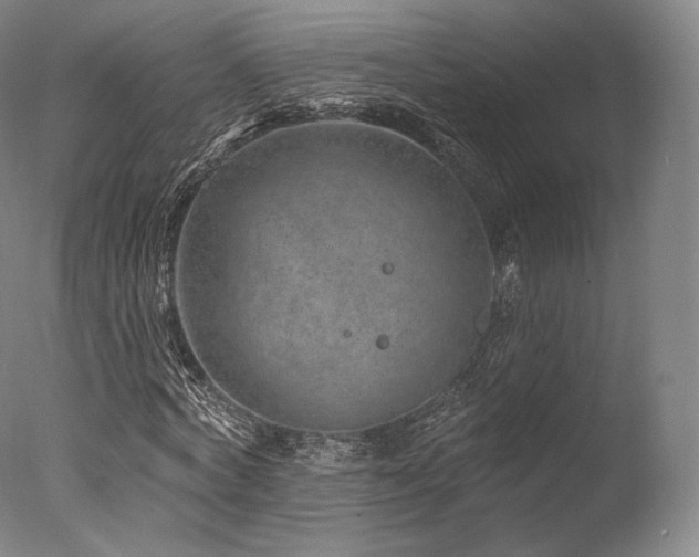 X0000077370772200610201348