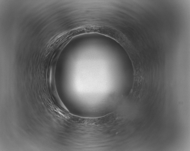 X0000077370773200610201348