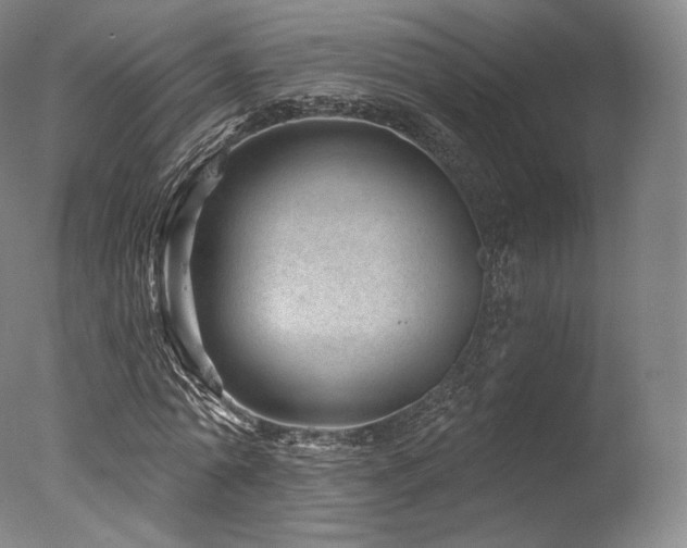 X0000077370774200610201348