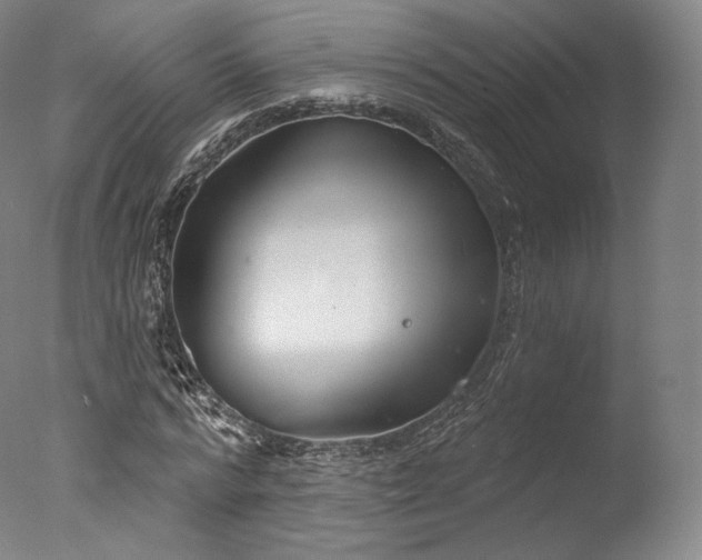 X0000077370776200610201347