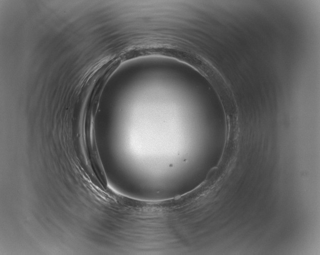 X0000077370777200610201347